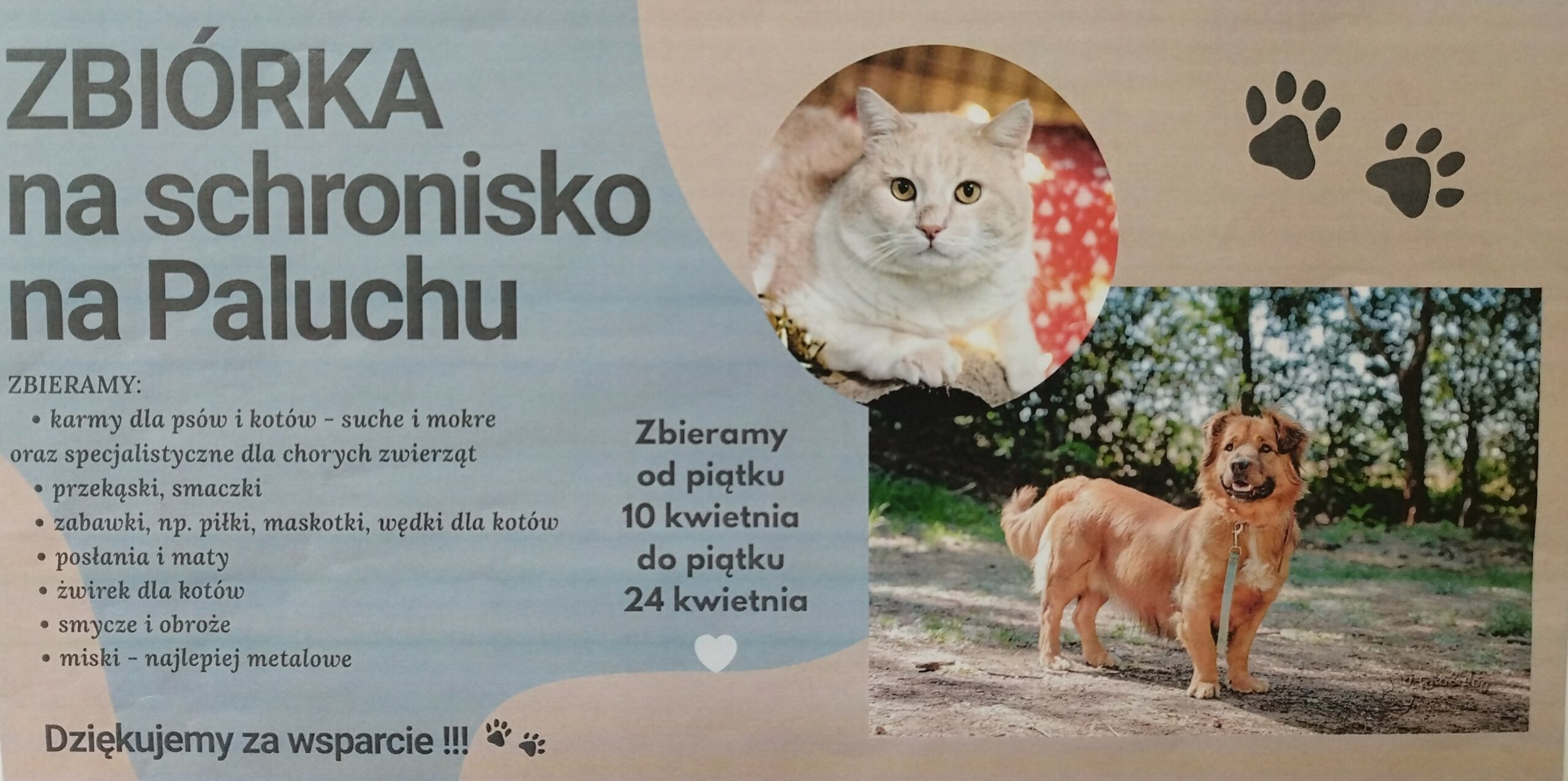 Zbiórka na schronisko na Paluchu