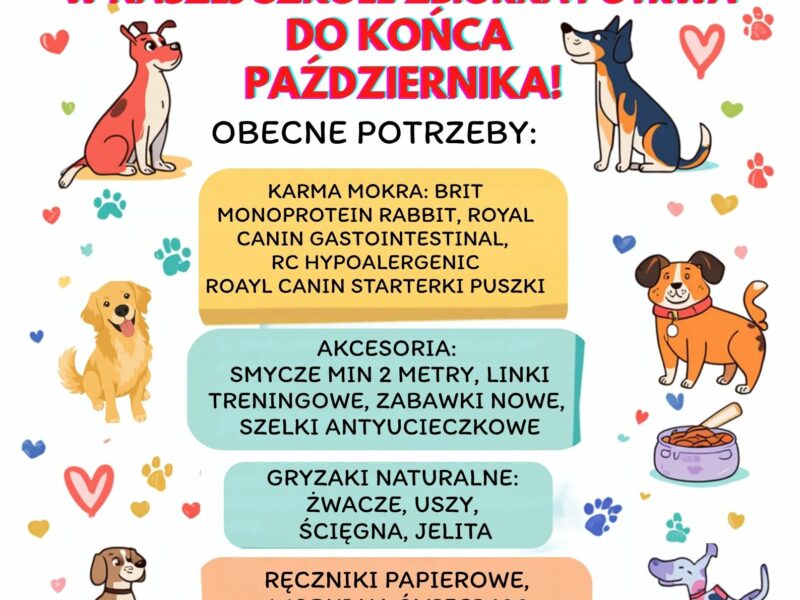 Zbiórka na rzecz schroniska Judyta